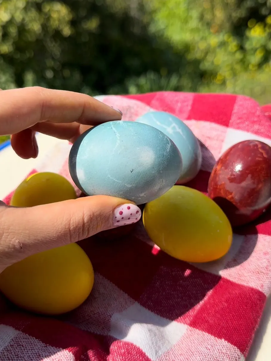 Natural blue Easter eggs with red cabbage